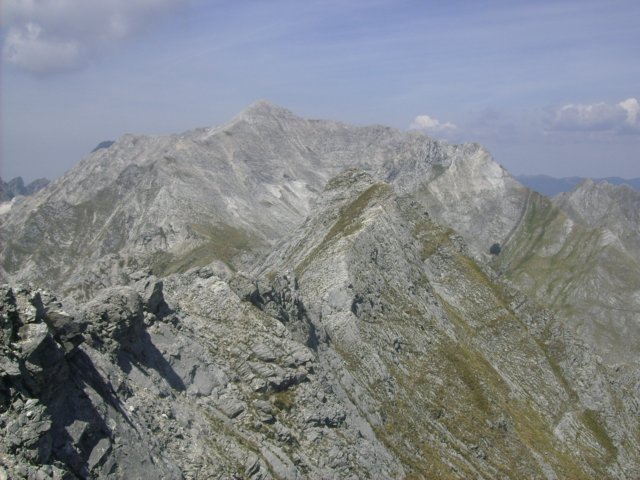 altodisella14.jpg