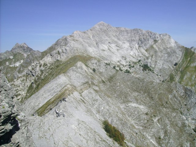 altodisella3.jpg