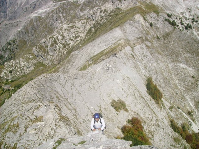 altodisella5.jpg