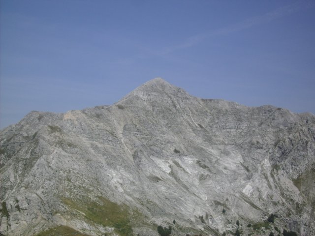 altodisella8.jpg