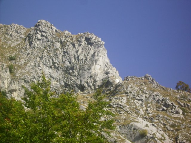 altodisella01.jpg