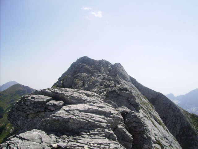 altodisella11.jpg
