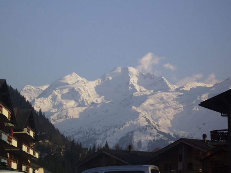 magicverbier01.jpg