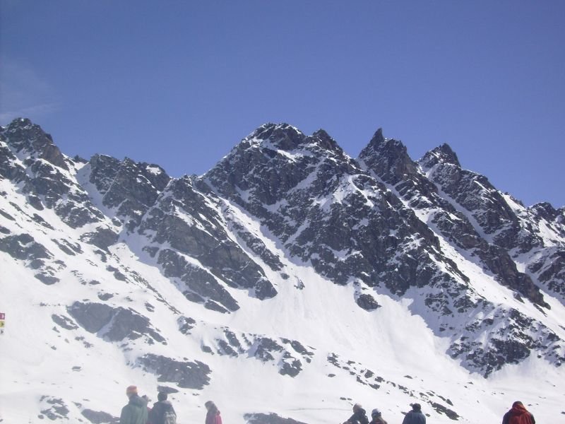 magicverbier11.jpg