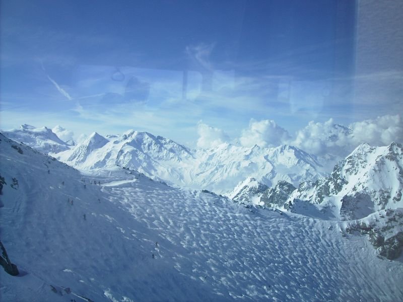 magicverbier17.jpg