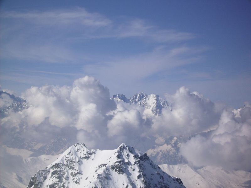 magicverbier20.jpg