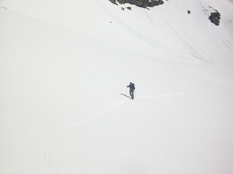 magicverbier37.jpg