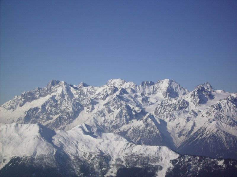 magicverbier5.jpg