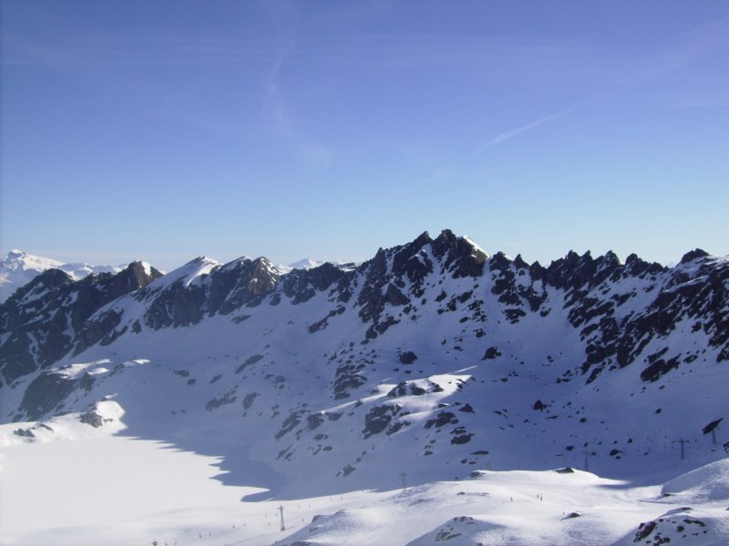 magicverbier6.jpg