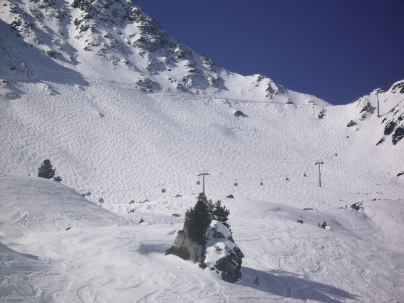 magicverbier7.jpg