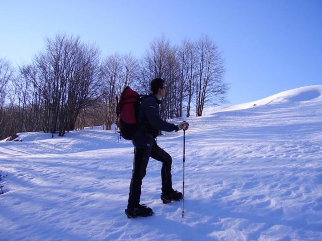 immagine055b.jpg