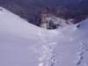 immagine073_small.jpg